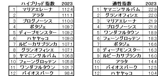 2023　金鯱賞　HB指数